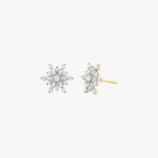 ER001047A yellow