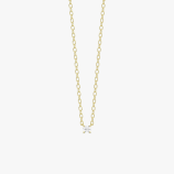 PD005404A yellow