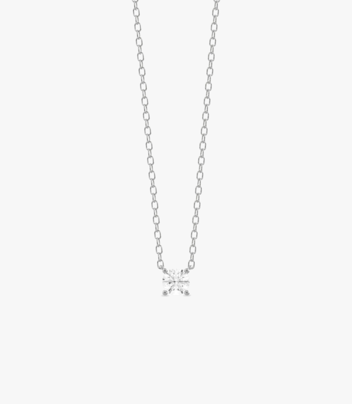 PD005404D white
