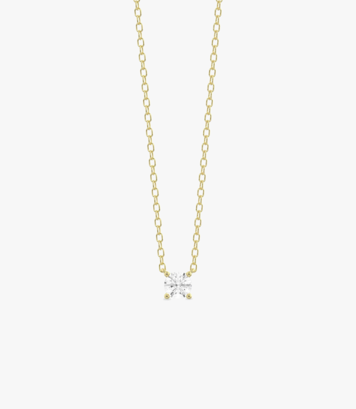 PD005404D yellow