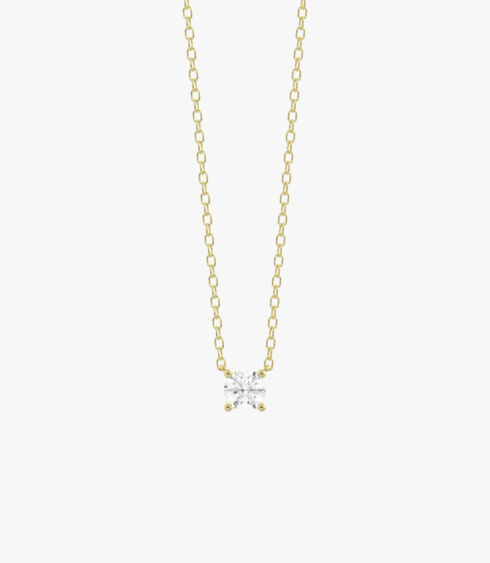 PD005404E yellow