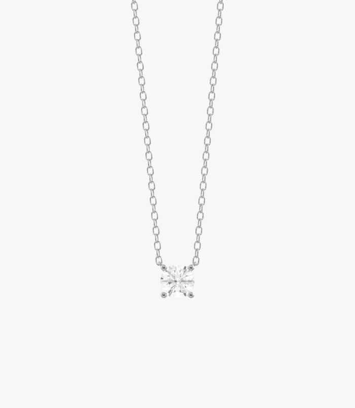 PD005404F white