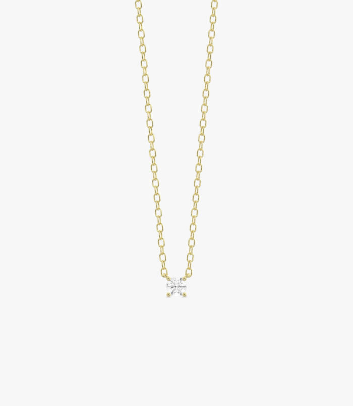 PD005405B yellow