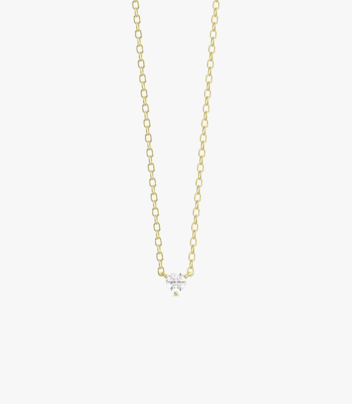 PD005405B yellow