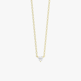PD005405C yellow