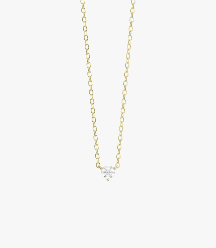 PD005405C yellow