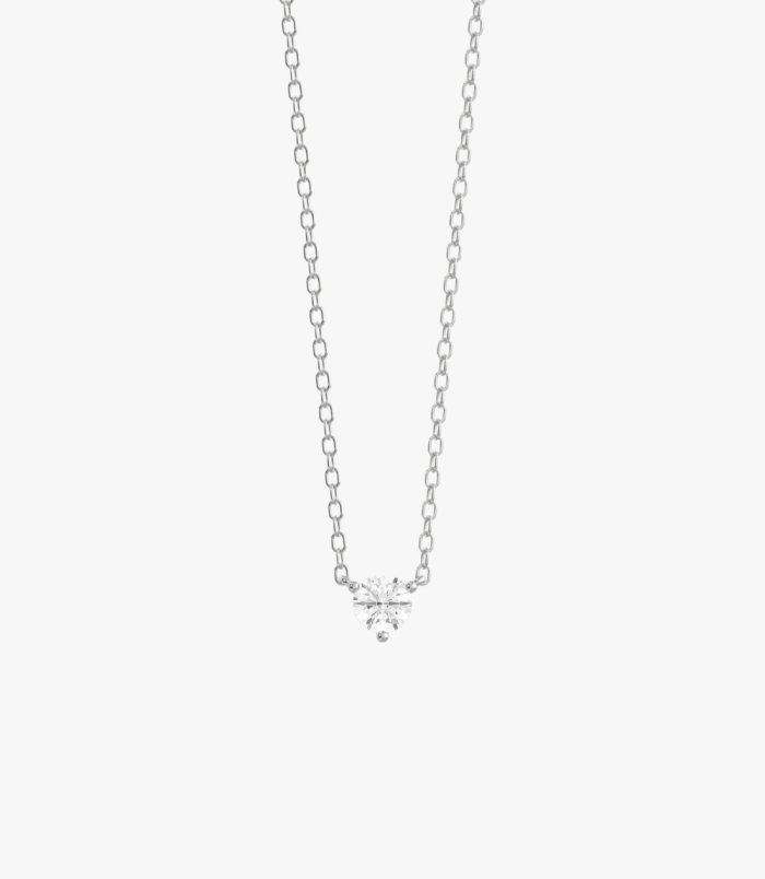PD005405D white