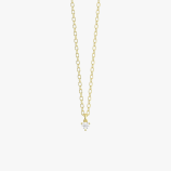 PD005423A yellow