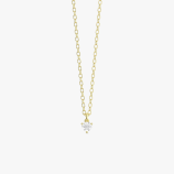 PD005423B yellow