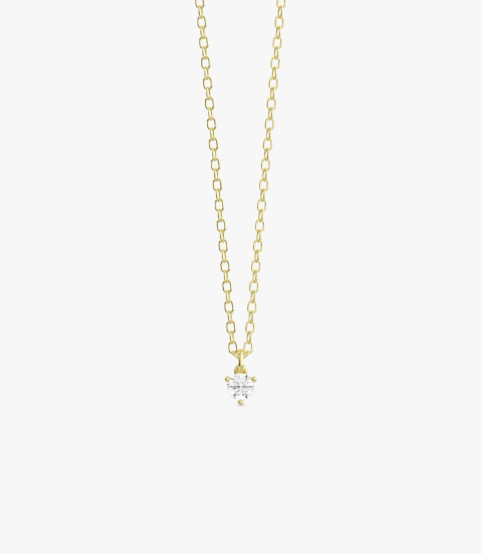 PD005423B yellow