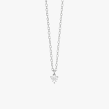 PD005423C white