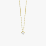 PD005423C yellow